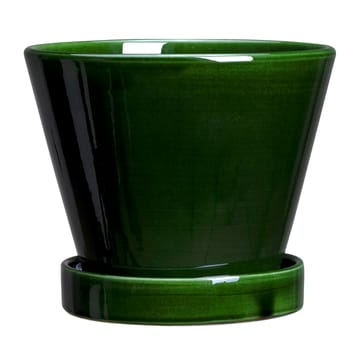 줄리 유광 토분 13 cm - Green emerald - Bergs Potter | 베르그 포터