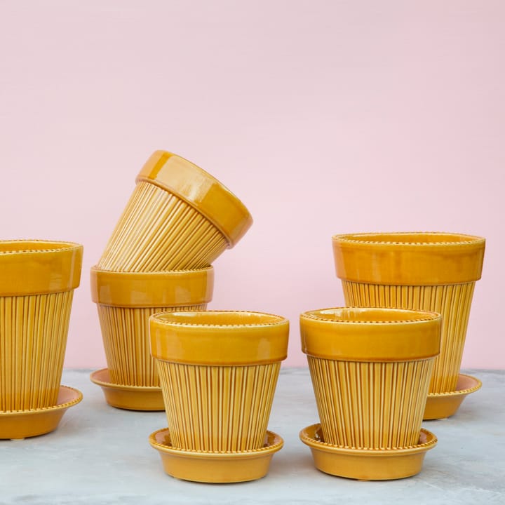 시모나 유광 토분 14 cm, Yellow Bergs Potter | 베르그 포터