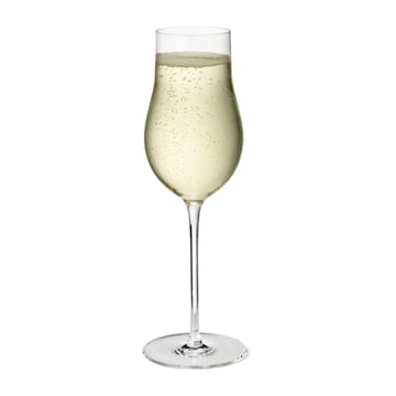 스카이 샴페인잔 25 cl 6개 세트 - Clear - Georg Jensen | 조지젠슨