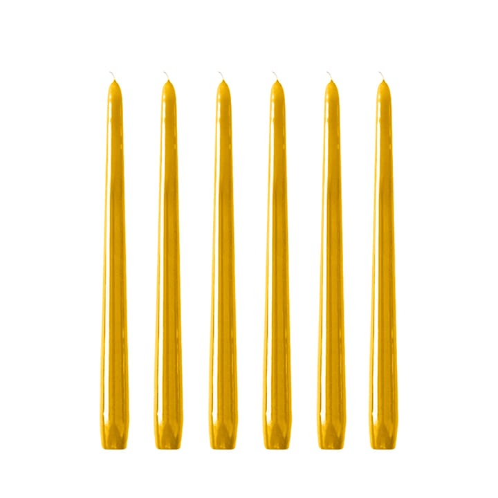 Herrgårdsljus 캔들 30 cm 6개 세트 - Mustard yellow - Hilke Collection | 힐케 콜렉션