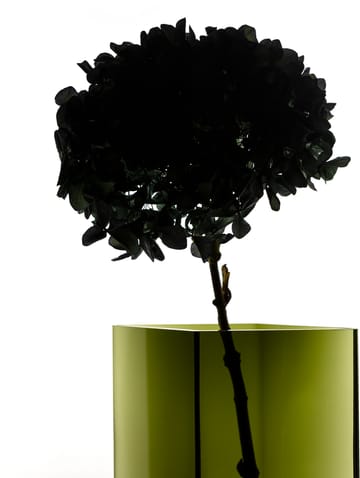 루뚜 화병 20.5x18 cm - moss green - Iittala | 이딸라