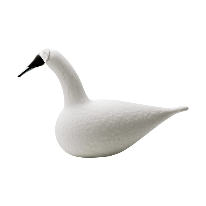 버드 바이 토이까 - whooper swan - Iittala | 이딸라