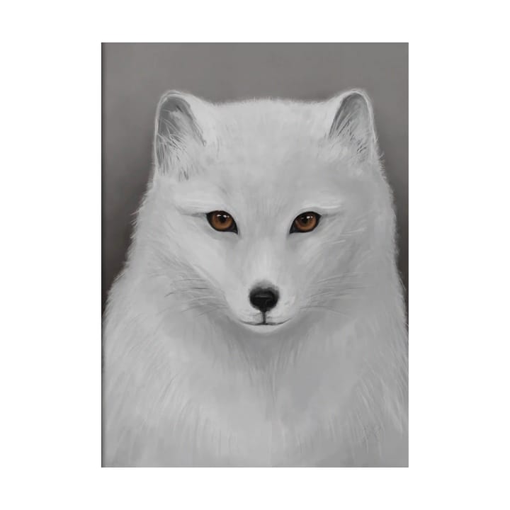 Arctic fox 포스터 - 30x40 cm - Kunskapstavlan®