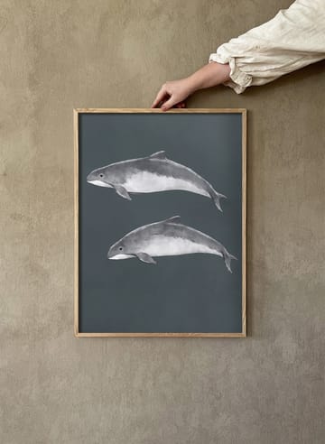 Baltic porpoise 포스터 - 30x40 cm - Kunskapstavlan®