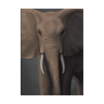 Forest elephant 포스터 - 50x70 cm - Kunskapstavlan®