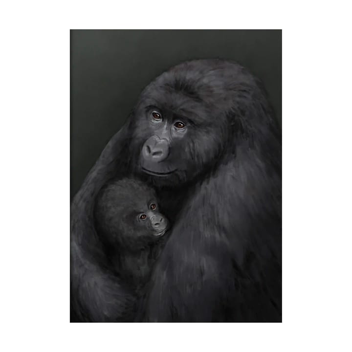 Mountain gorilla 포스터 - 50x70 cm - Kunskapstavlan®