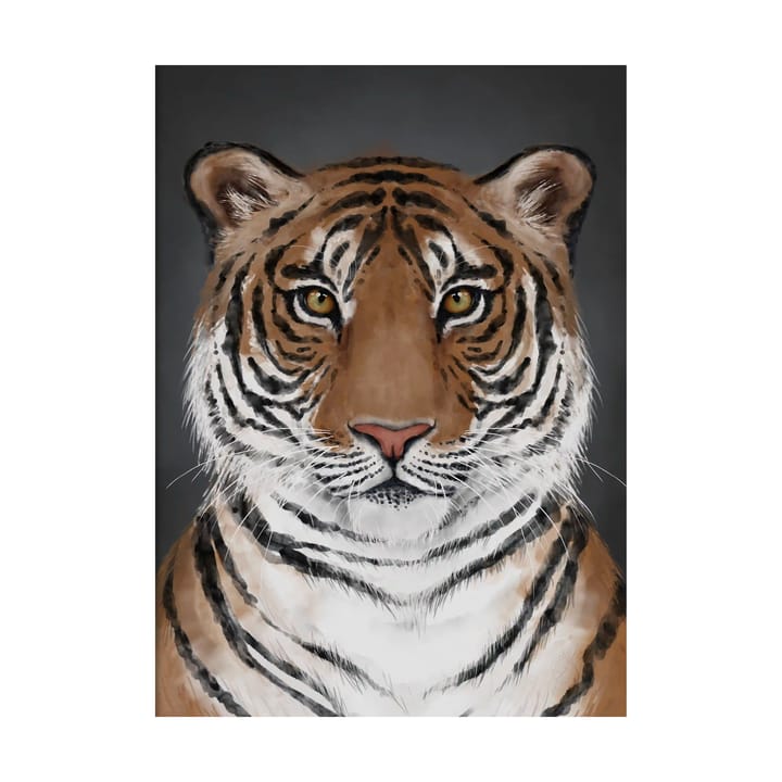 Tiger 포스터 - 30x40 cm - Kunskapstavlan®