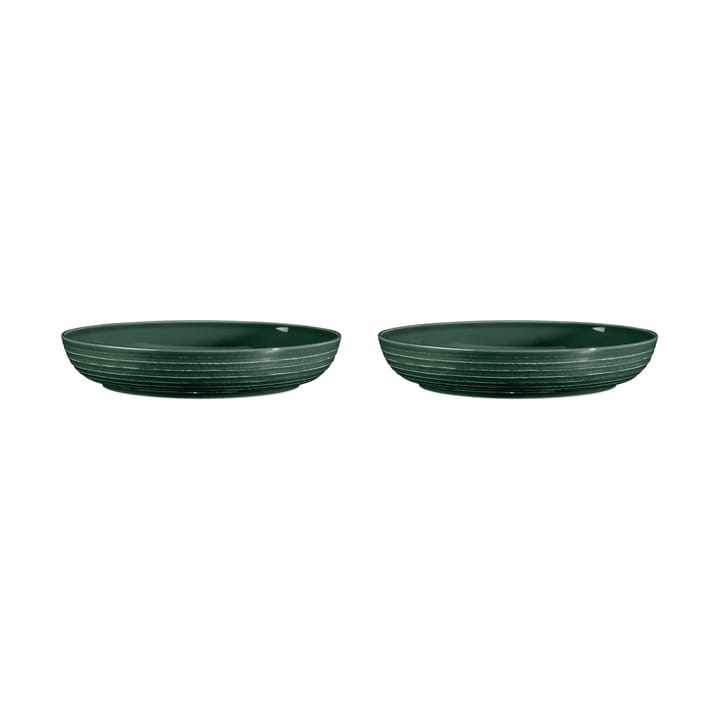 테라 보울 Ø28 cm 2개 세트 - Moss Green - Seltmann Weiden | 셀트만바이덴