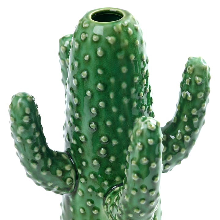 세롹스 cactus 화병, medium Serax | 세락스